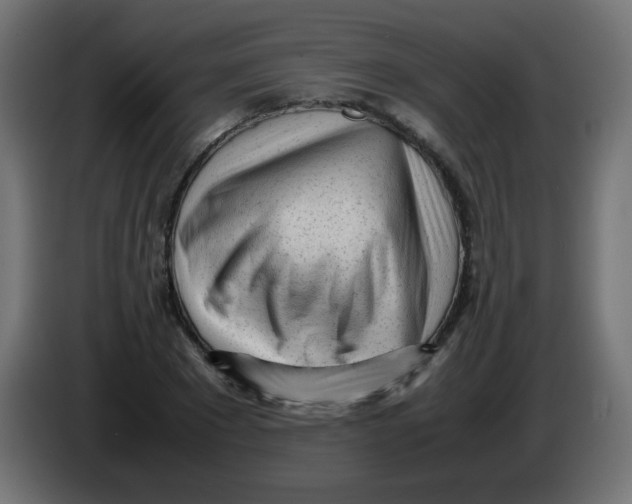 X0000086060881200704132016