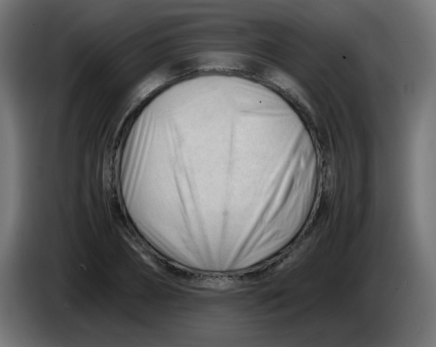 X0000086060882200704132015