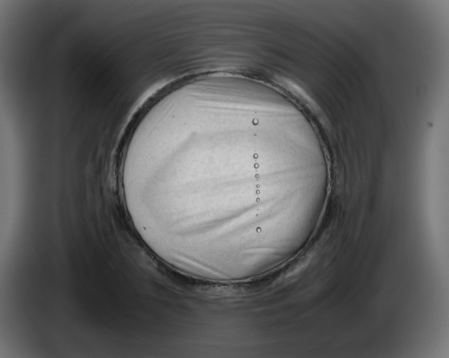 X0000086060883200704132015