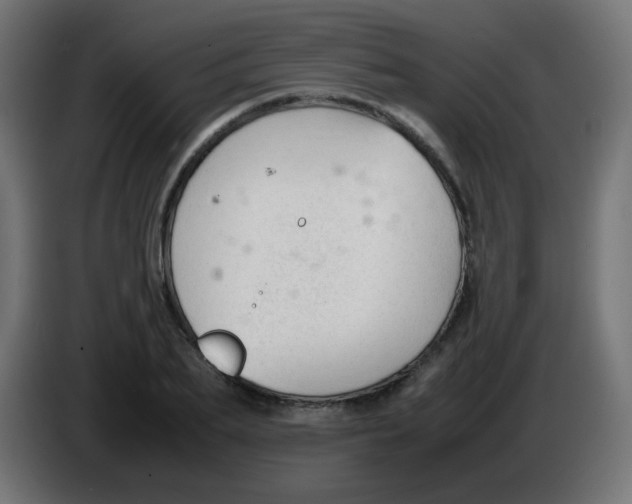 X0000086060887200704132015