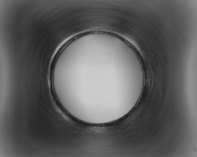 X0000086060888200704132015