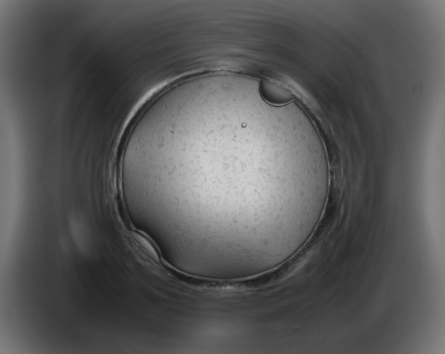 X0000086060891200704132015