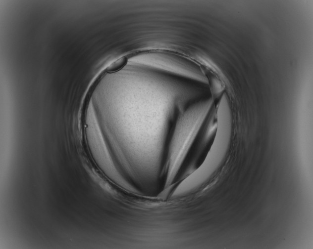 X0000086060892200704132015