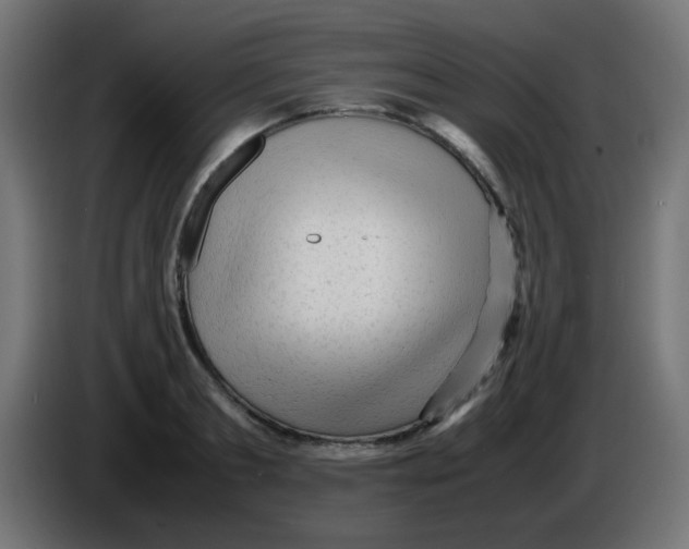 X0000086060893200704132015