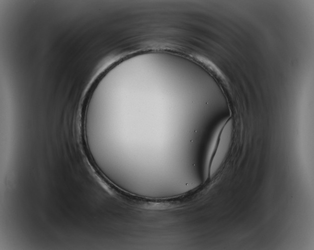 X0000086060894200704132015