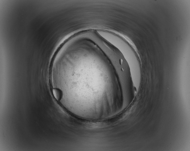 X0000086060895200704132015