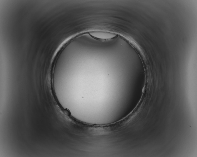 X0000086060896200704132015