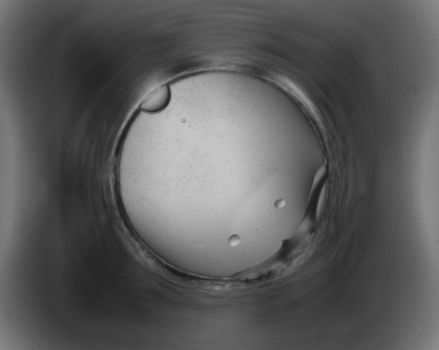 X0000086060899200704132015