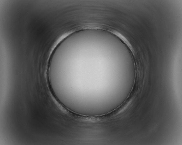 X0000086060901200704132015