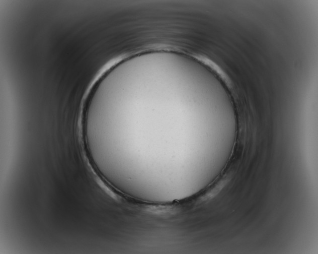 X0000086060902200704132015