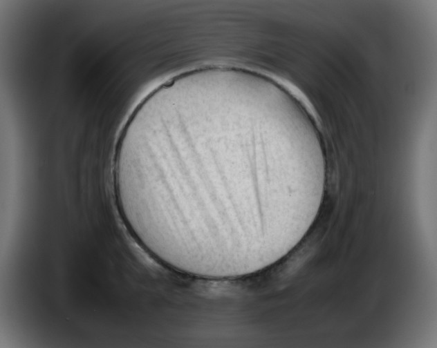 X0000086060903200704132015