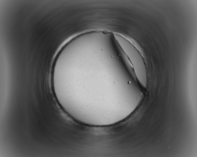 X0000086060904200704132015