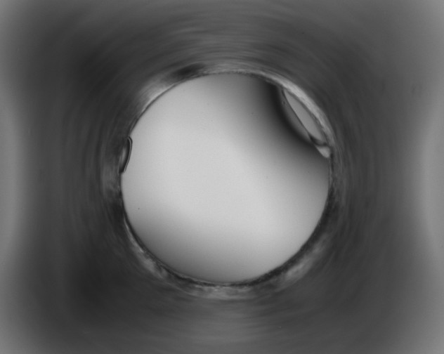 X0000086060905200704132015