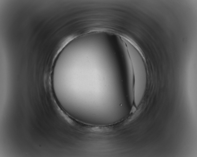 X0000086060906200704132015