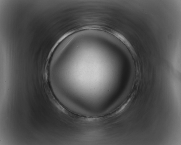 X0000086060908200704132015