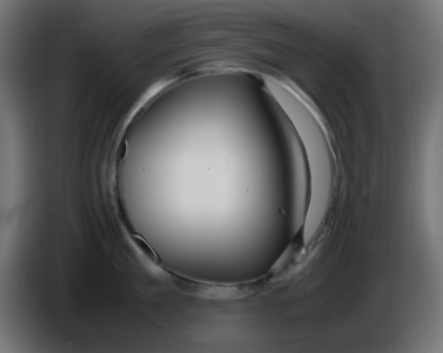 X0000086060909200704132015