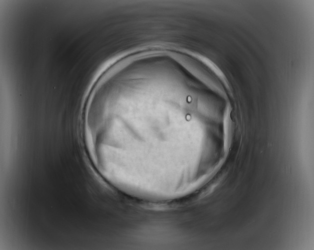 X0000086060911200704132015