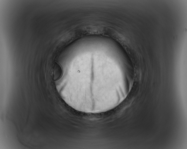 X0000086060913200704132014