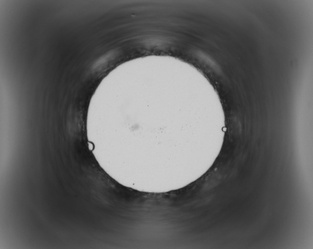 X0000086060918200704132014