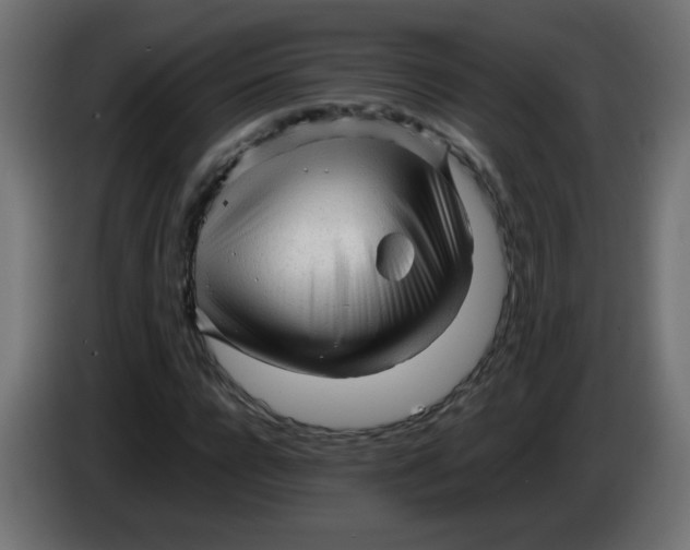 X0000086060920200704132014