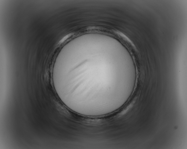 X0000086060921200704132015