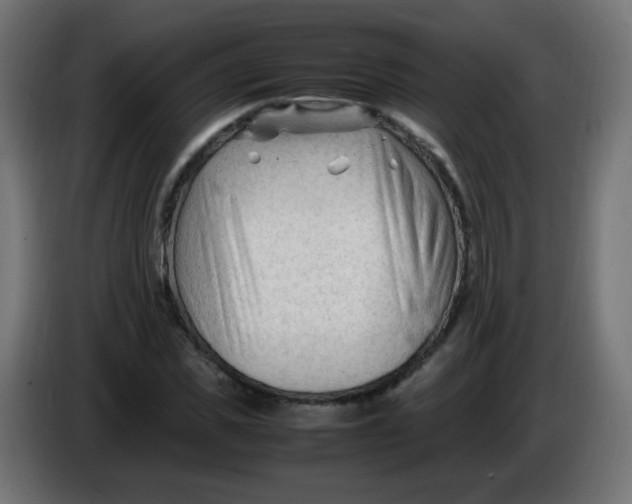 X0000086060925200704132015