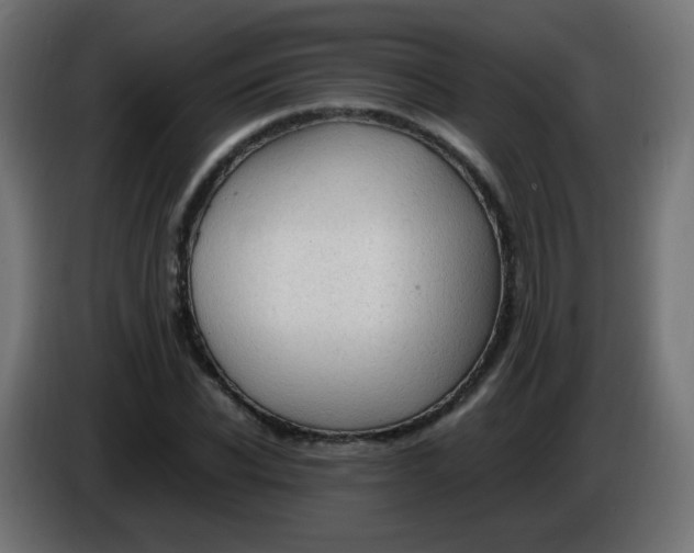 X0000086060926200704132015