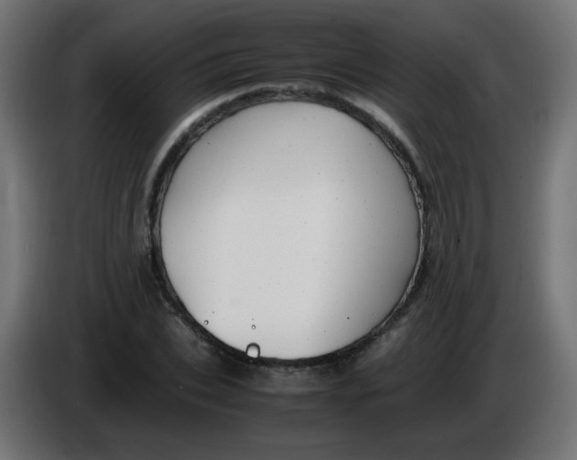 X0000086060927200704132015