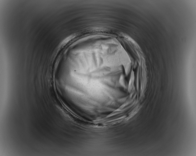 X0000086060930200704132015