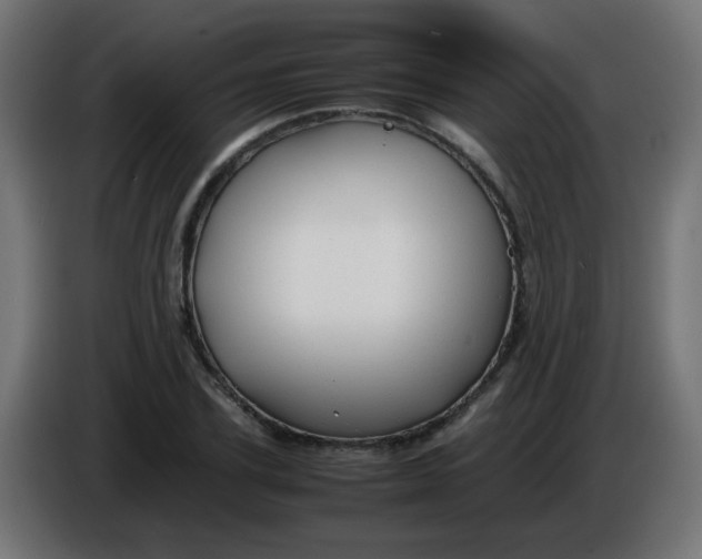 X0000086060931200704132015