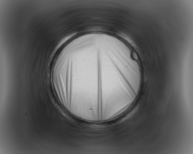 X0000086060933200704132015