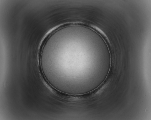 X0000086060935200704132015