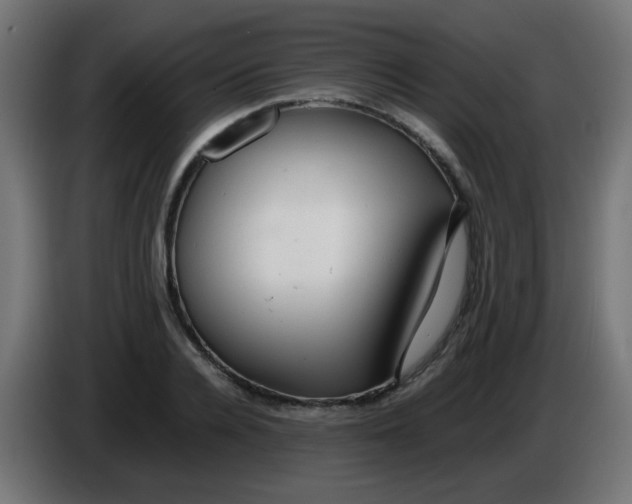 X0000086060936200704132015