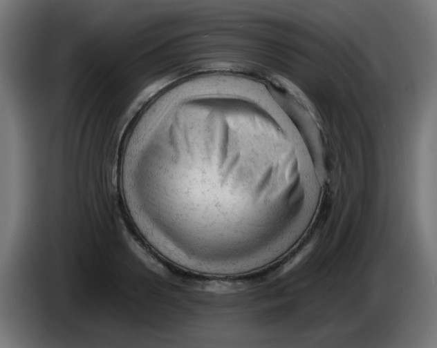 X0000086060938200704132015