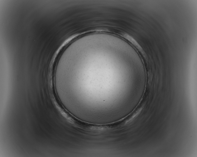 X0000086060939200704132015