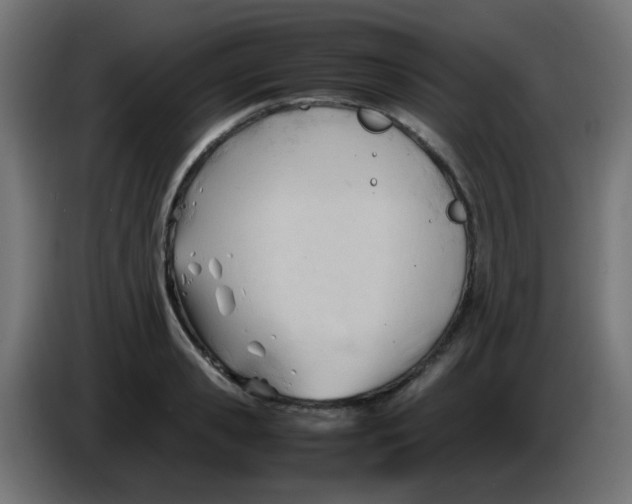 X0000086060941200704132015