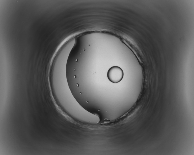 X0000086060942200704132015