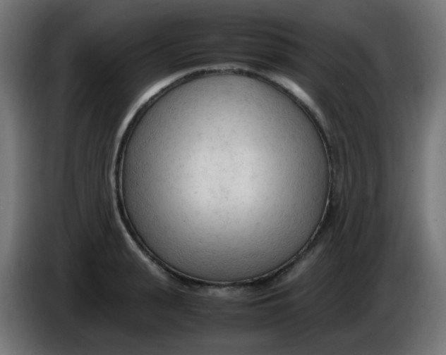 X0000086060943200704132015