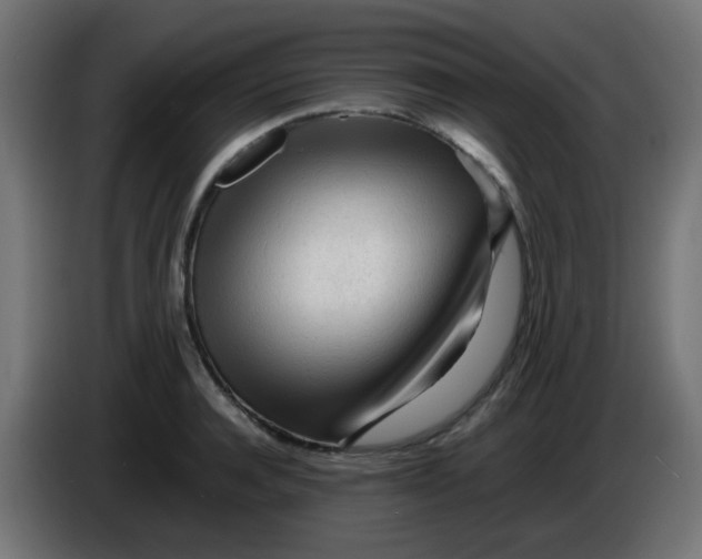 X0000086060944200704132015