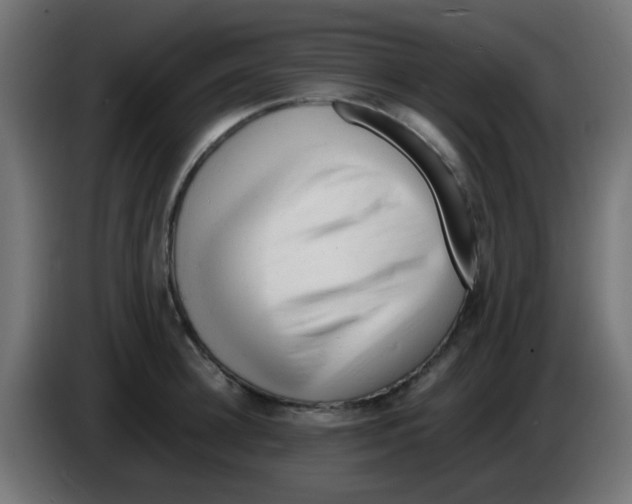 X0000086060948200704132015