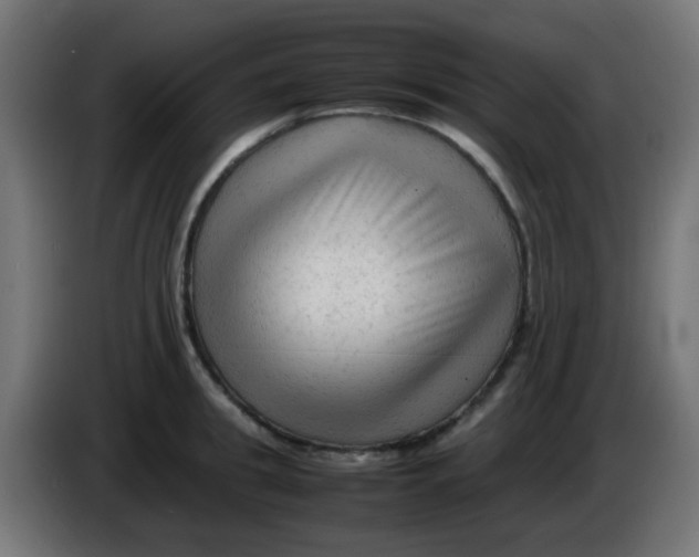 X0000086060949200704132015