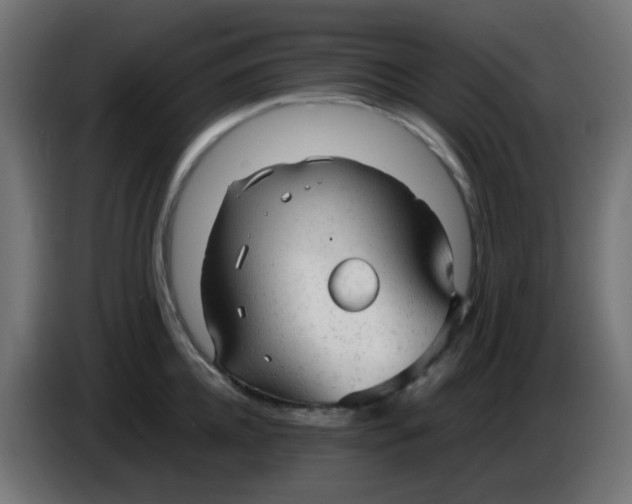 X0000086060952200704132015