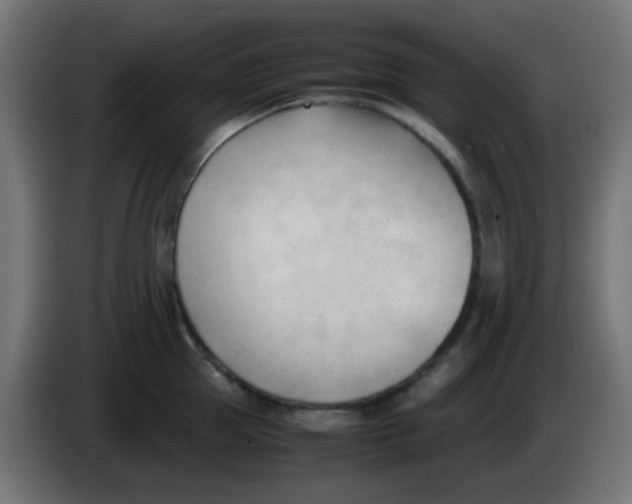 X0000086060953200704132015