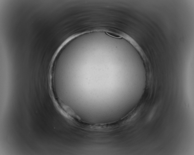 X0000086060955200704132015