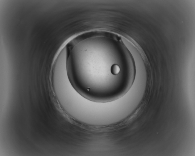 X0000086060956200704132015