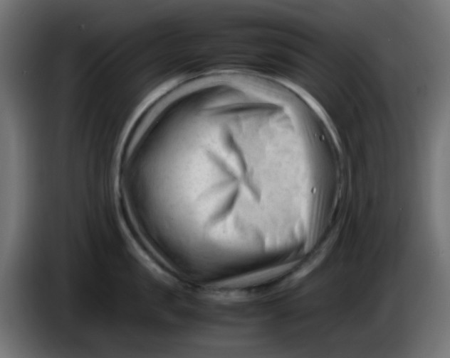 X0000086060957200704132015