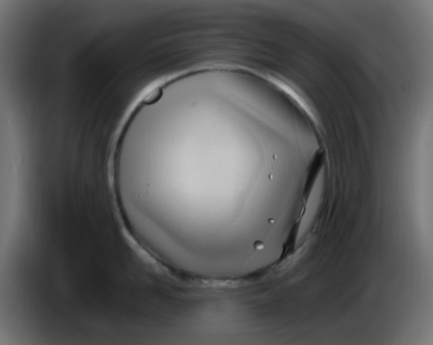 X0000086060958200704132015