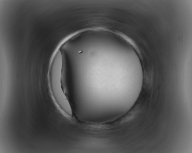 X0000086060959200704132015