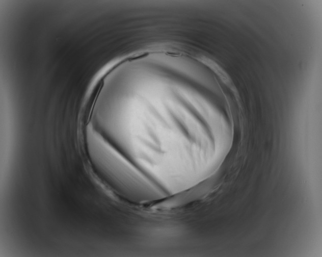 X0000086060960200704132015