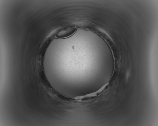 X0000086060968200704132014